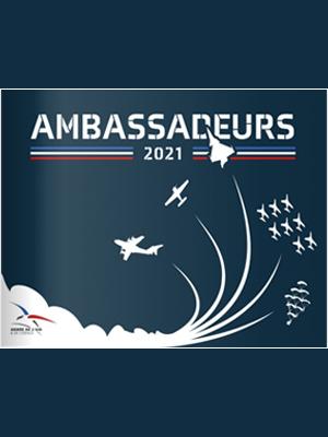 armée de l'air et de l'espace